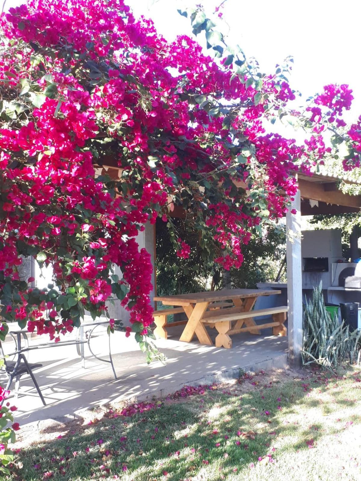 Reserva Jasmim Manga Pirenopolis Exterior photo